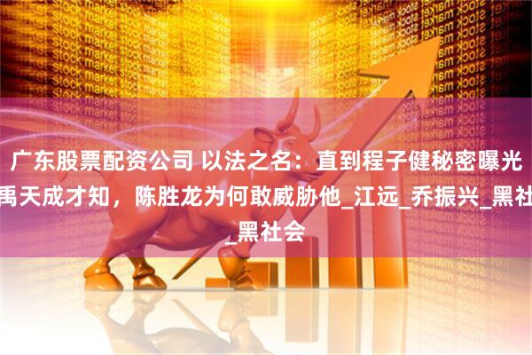 广东股票配资公司 以法之名：直到程子健秘密曝光，禹天成才知，陈胜龙为何敢威胁他_江远_乔振兴_黑社会